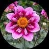 poshy89511